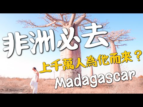 非洲必去！馬達加斯加生命大道！上千萬人為它而來？｜環球之旅 Madagascar