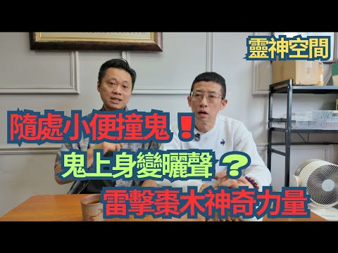 六壬神功 (鍾師父) 雷擊棗木神奇力量/保護汽車平安牌/隨處小便易撞鬼/鬼上身變曬聲/