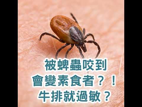 【S2 EP.104】被蜱蟲咬到會變素食者？！ 一吃牛排就過敏？