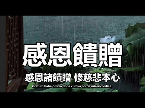 世間饋贈皆為因緣，以感恩之心接納順逆點滴，於惜緣佈施中修得慈悲本心。#佛學 #感情 #國學 #菩提解脫道 #禅意生活