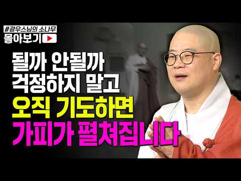 "체험해 보니 부처님 가피가 정말 있습니다" 49일 동안 빠지지 않고 간절히 기도하니 그날 밤 꿈에 아버지가 나오더니.. [초심으로 돌아가는 광우스님의 소나무 시즌3 몰아보기]