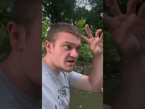 Can I Catch a Fish on Chicken Liver? #Jesus #GrayGang