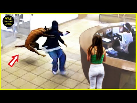 50 Hero Animals That Saved Human Lives #45-TH9 | Best moment of 2025!