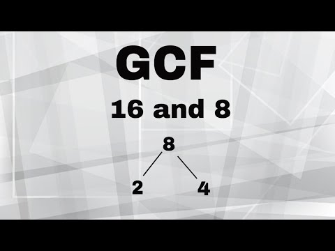 GCF of 16 and 8