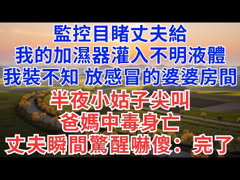 監控目睹丈夫，給我的加濕器灌入不明液體，我假裝不知道，放感冒的婆婆房間，半夜小姑子尖叫，爸媽中毒身亡，丈夫瞬間驚醒嚇傻：完了！#情感故事#故事#小說#戀愛#情感#婚姻#為人處世
