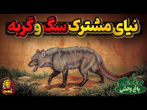 دورمال، پدر مشترک سگ و گربه