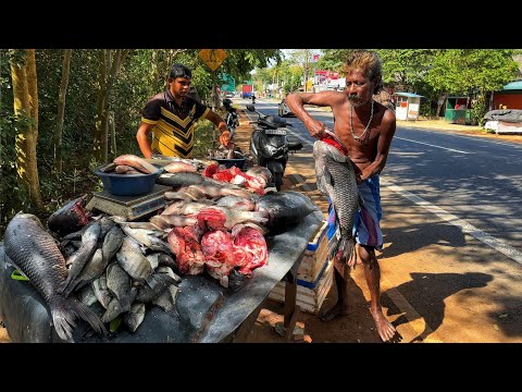 Dreaded! The Village Thug Fisherman Selling Fish Everyone Dreads|Selling HUGE Fish ina Small Village