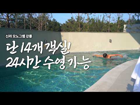 Gangneung Shilla Monogram Complete Guide - Rooms with Pools vs. High-Rise Rooms with Fantastic Vi...