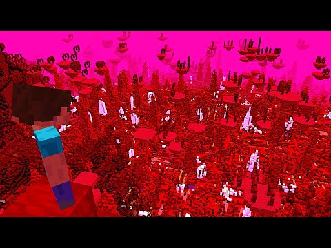 This Minecraft World is Alive