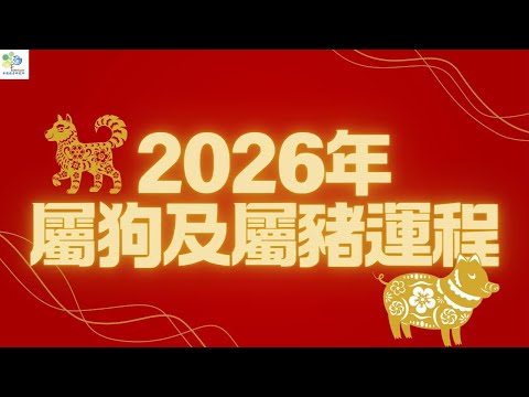 2026年🐶屬狗及🐷屬豬 流年運勢 #2026流年運程 #2026年 #流年運程 #丙午運程 #馬年運勢 #生肖狗 #十二生肖運程 #生肖豬 #家居風水宜忌 #八字 #玄學 #奇門遁甲