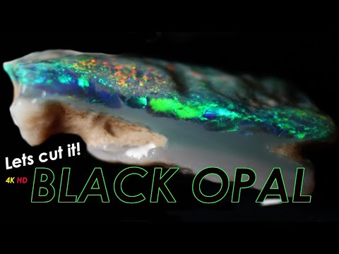 Black Opal, so we cut this opal as our audition Tape!
