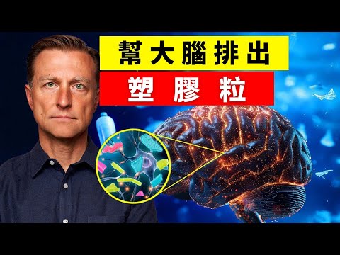 (重要影片)幫大腦排出塑膠微粒,吃含高硫食物,NAC,奶薊排毒,柏格醫生 Dr Berg