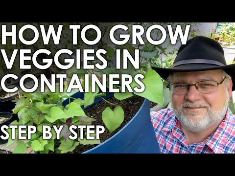 How to Grow Vegetables in Containers - A Step by Step Guide || Black Gumbo