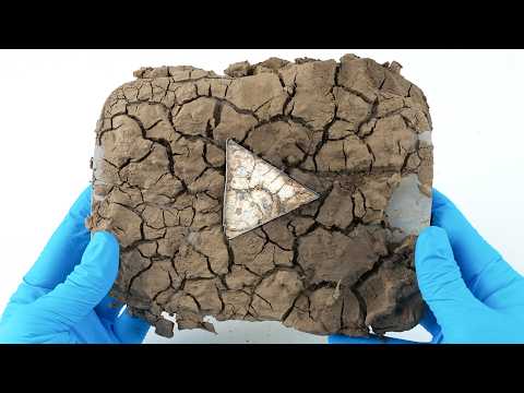 YouTube Sent Me ANOTHER DIRTY Play Button?! (Not Funny)