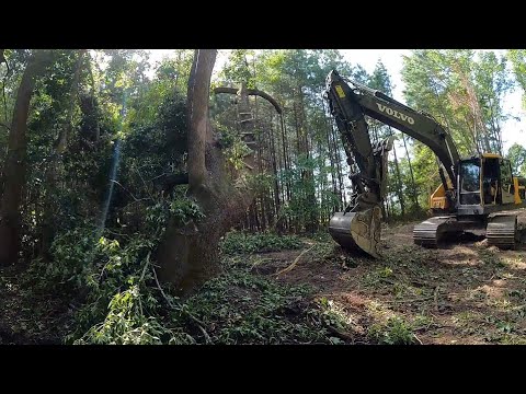 Sit Back Theres A Lot More Trail Clearing