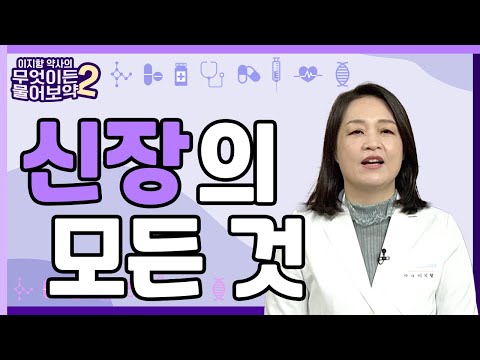 신장의 모든 것 [이지향약사의 무엇이든 물어보藥 2 20회]