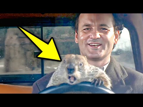 Groundhog Day (1993): 20 Weird Facts You Didn't Know