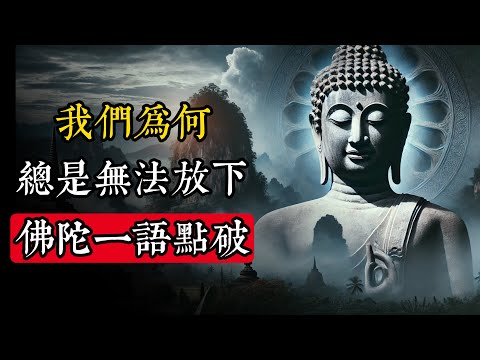 「眾生輪回皆因執著，我們因何而執著？」佛陀的開示讓人豁然開朗！|佛教 |佛學知識|修心修行|禪悟人生 |金剛經|南無阿彌陀佛|