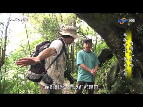 【台灣誌 #776】內灣迎春郊 馬胎古道 春花正鬧_20170521