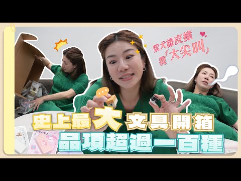 含金量超高!史上最大文具開箱 品項超過一百種 柴犬橡皮擦我大尖叫