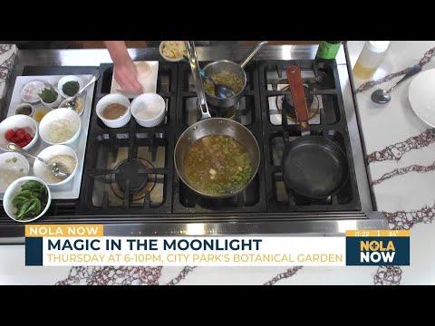 Enjoy a night under the stars at Magic in the Moonlight