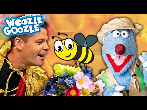 Alles, was du über Bienen wissen musst l WOOZLE GOOZLE