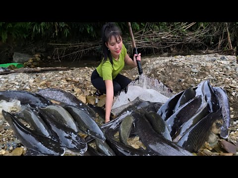 How to make a bamboo fishing rod, 18 year old single girl catches giant fish in the river