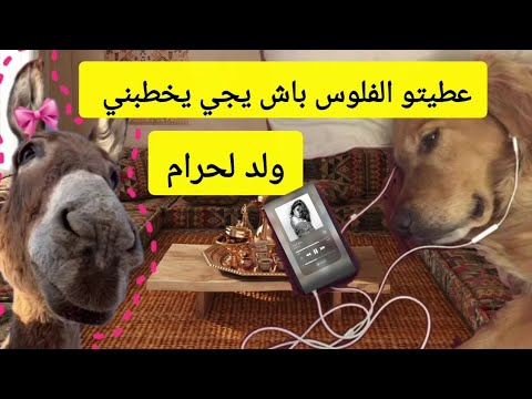 بعثله كنزي لي جمعته طوال سنين وصدق سارقهلي | قصص مغريبية | راوية زينب
