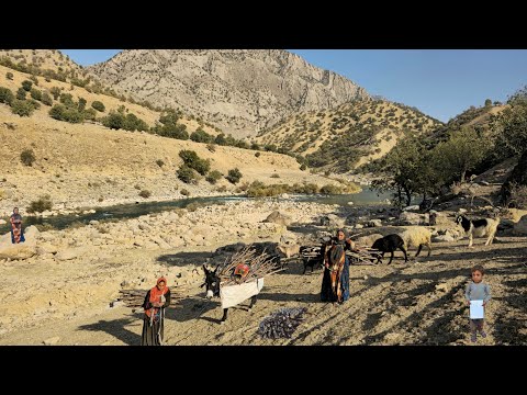 Nomadic Life: Single Nomadic Girls in the Wild Zagros Mountains by the river Khersan 