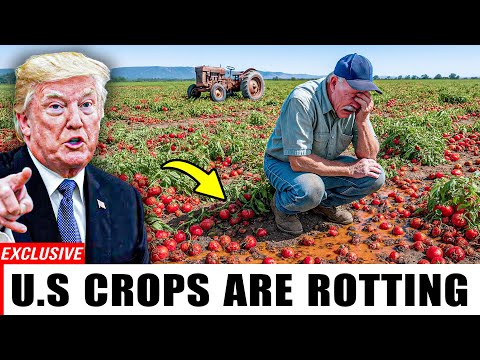 U.S. Farmers in Tears: 7 Crops Rotting in the Fields – Is American Agriculture Collapsing?