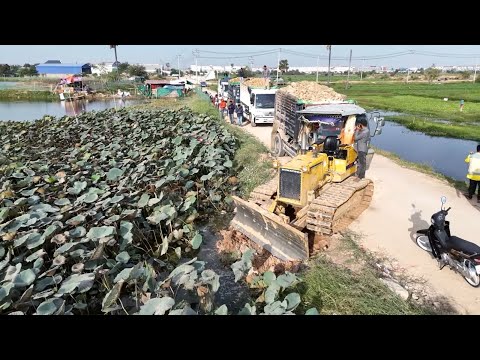 Wonderful Start.! Skilled KOMATSU Bulldozer & Dump Trucks in Land Filling | Pushing Stone and Soil