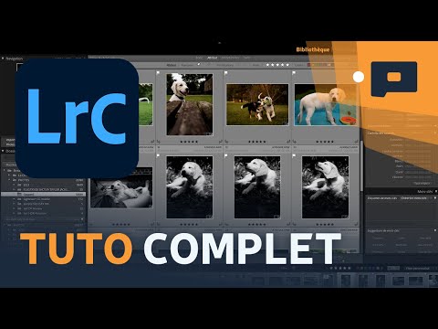 📷 TUTORIAL: The basics of Lightroom for complete beginners