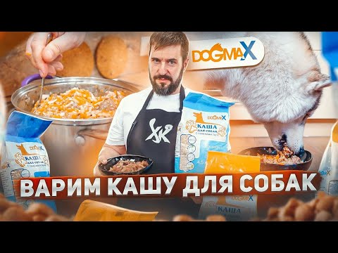 Варим кашу для собак DogmaX | Обзор и интервью | Натуральное питание для собак