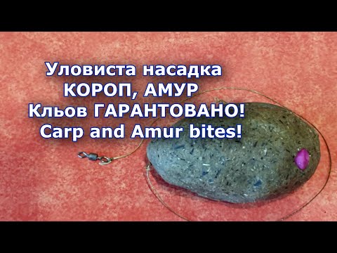 Уловиста насадка на пружину. ПЕРЕВІРЕНО! Кльов КАРПА та АМУРА гарантовано! Carp and Amur bites!