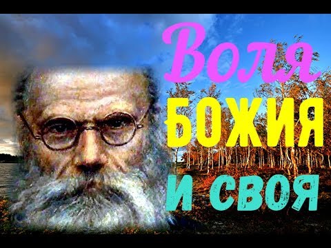 Воля Божия и своя. Вера в Бога - Игумен Никон (Воробьев)