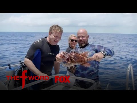 Gordon Ramsay Hunts For Lionfish To Cook | Season 1 Ep. 4 | THE F WORD