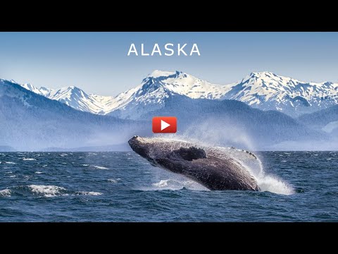 Holland America Line Cruise Alaska Land+Sea Journeys - STIC Travel Group