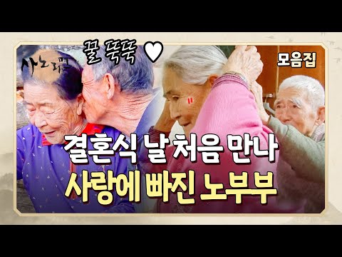 중매인의 소개로 얼굴도 모른 채 결혼식 날 처음 만나 100살이 넘는 나이까지 함께하게 된 노부부의 연애 스토리.. 💝 | 사노라면