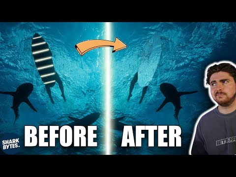 Shark Repellent Surfboards Could Reduce Shark Attacks