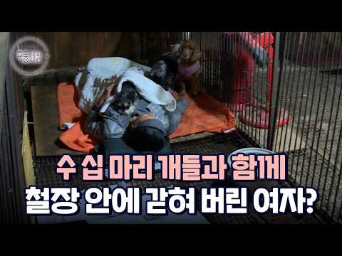 개들과 함께 철장 안에 갇힌 여자의 정체는｜다시보는 특종세상 317회