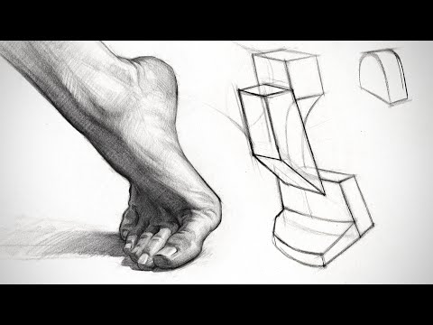 Constructing and Shading the Foot - Anatomy Assignment