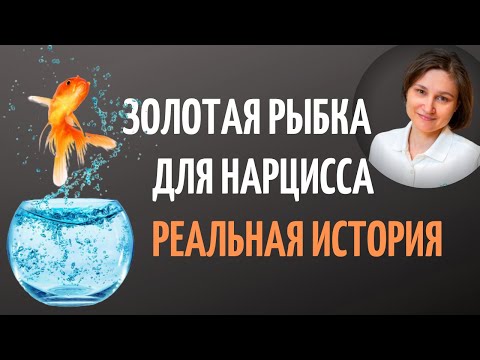 Как расстаться с нарциссом без разрушений. Реальная история.