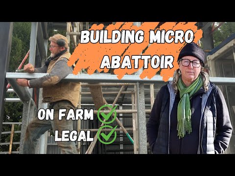 Who Controls Your Meat? One Farmer’s Bold Solution