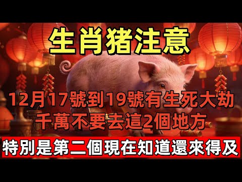 生肖猪注意！你12月17號到19號有生死大劫，千萬不要去這2個地方，特別是第二個，屬猪人必知！現在知道還來得及！#玄运生肖#屬相運勢#生肖#家運#手寫#生肖運勢的那些事#先知#風水變化#提升運勢