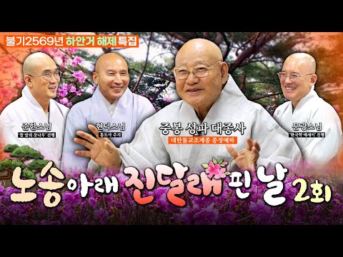 💥[화제] 조계종 종정스님께 젊은 스님들이 묻고 듣고 깨닫다💥 노송 아래🌸진달래 핀 날 2편 |BTN 하안거 해제 특집 #중봉성파대종사 특별대담 #현덕스님 #문광스님 #준한스님 