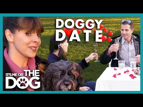 Victoria Sets-Up a DOGGY DATE! | It's Me or The Dog