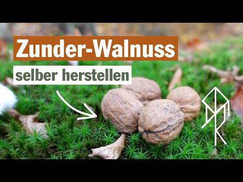 Make your own tinder walnut | Urviech Bushcraft, Survival