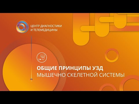 Общие принципы ультразвуковой диагностики мышечно скелетной системы