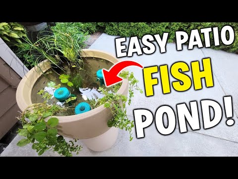 I Made The BEST LED Patio Pond - Setup & Tutorial