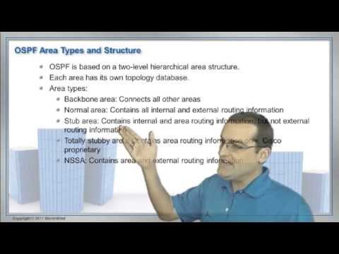 OSPF Special Area Types
